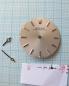 Preview: Rolex Oyster Zifferblatt
